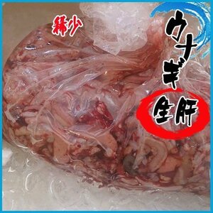 うなぎ 鰻 生肝 約６kg ウナギキモ 稀少