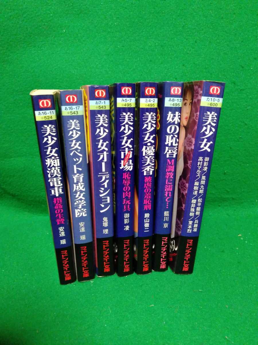 フランス書院文庫20冊（カバー欠品2冊）マドンナメイト4冊他1冊