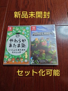 【新品未開封】やわらかあたま塾 & マインクラフト