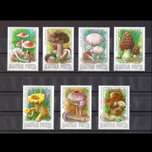 ■ハンガリー切手　1984年　キノコ類　7種完