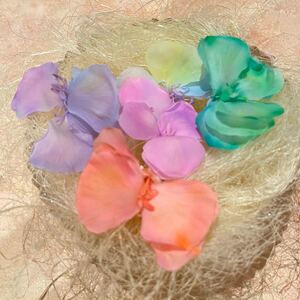ダイアンサスグラデーション花材 ハーバリウム花材 アレンジ花材