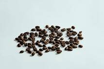 無農薬 コーヒー豆 まろやかな中深煎り 自家焙煎 ペルー 産 TOKYO COFFEE (豆のまま 400g)_画像2
