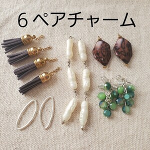 ハンドメイド資材 チャーム アルミ不規則フレーム タッセル パール ぶどう レオパード アソート