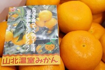 【限定1箱】光センサー選果品 高知県特産 山北温室みかん 5kg 3Lサイズ 秀品 1円スタート！_画像1