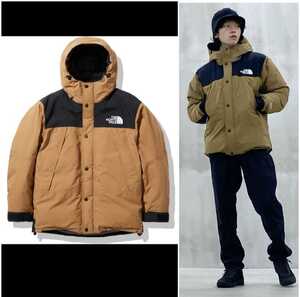 THE NORTH FACEマウンテンダウンジャケット(メンズM)GORE-TEX ザ・ノース・フェイス ゴアテックスMountain Down JacketND91930