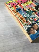 月刊プレイコミック 　1978年２月　昭和53年　エロチックハンター　大三元慕情　ＳＭ459_画像5