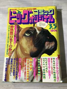 ビッグコミックオリジナル1979年３月5日　昭和54年　水島新司　松本零士　西岸良平　SM481