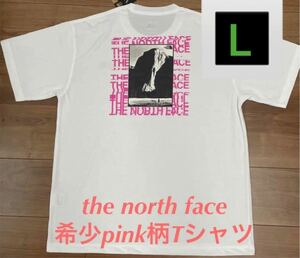the north faceザノースフェイス希少カラーピンクmountain T 半袖Tシャツ　Lサイズゆったりおおきいですよー