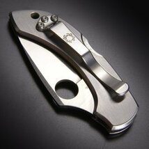 spyderco ドラゴンフライ VG-10 SS 直刃 Spyderco VG-10/SS ロックバック式 折りたたみ_画像5