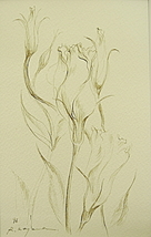 小山利枝子 トルコギキョウ Gペン 1996 9.4×14.5ｃｍ つけペン 額装　中古　R.koyama　インテリア　ペン画　_画像2