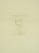 小山利枝子 トルコギキョウ Gペン 1996 9.4×14.5ｃｍ つけペン 額装　中古　R.koyama　インテリア　ペン画　_画像3