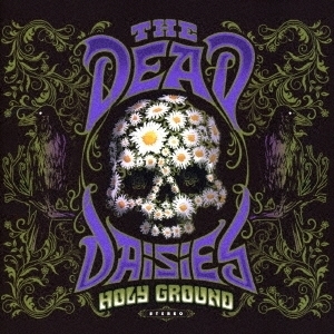 匿名配送 国内盤 CD ザ・デッド・デイジーズ　ホーリー・グラウンド　The Dead Daisie　4582546592387