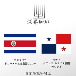 計200g 中米セット(パナマ + コスタリカ) コーヒー豆
