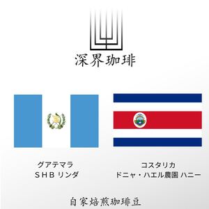計200g 中米セット(グアテマラ + コスタリカ) コーヒー豆
