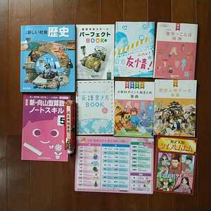 高学年いろいろ 新・向山型算数スキル・歴史・英語・漢字・進研ゼミなど