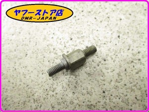 ☆新品未使用☆ 純正(AP8600349) ロックプレートボルト アプリリア RS250 aprilia 13-152.1