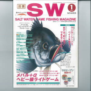 x SALT WATER GAME FISHING MAGAZINE (ソルトウォーターゲームフィッシイングマガジン) 2007年 01月号 [雑誌]