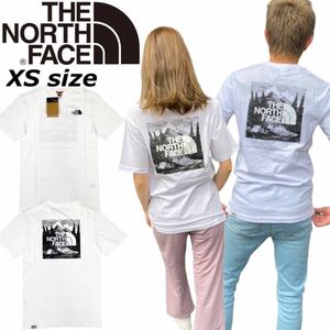 ザ ノースフェイス Tシャツ レッドボックス 半袖 NF0A2ZXE バックロゴ 白 XSサイズ THE NORTH FACE S/S REDBOX CELEBRATION TEE 新品 