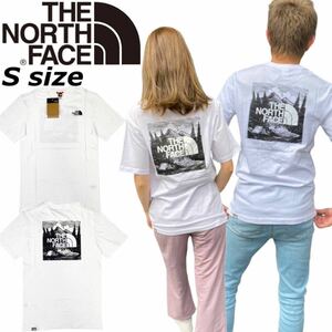 ザ ノースフェイス Tシャツ レッドボックス 半袖 NF0A2ZXE バックロゴ 白 Sサイズ THE NORTH FACE S/S REDBOX CELEBRATION TEE 新品 