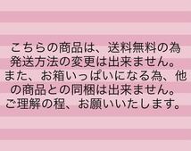 【送料無料】ダックワーズ＆ミニフィナンシェ詰合せ　アウトレット　個包装　焼菓子　人気商品　お買い得！_画像10