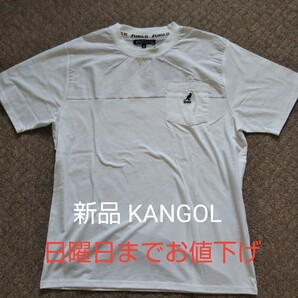 格安!お値下げしました 新品未使用 KANGOL 生成 白 ストレッチ素材 半袖 Tシャツ カットソー Mサイズ