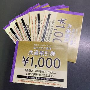 西武HD 共通割引券　1万円分