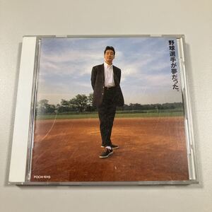 【21-M2】貴重なCDです！　KAN　野球選手が夢だった。「愛は勝つ」収録。CITY POP の名盤！