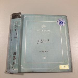 【21-か２】貴重なCDです！　川嶋あい　大丈夫だよ　