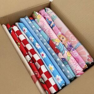 箱いっぱい ハギレセット 女の子 ディズニー プリンセス キャラ 生地