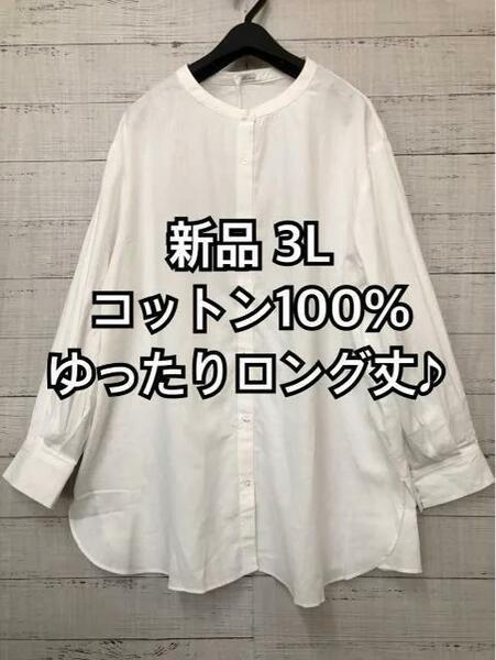 新品☆3L♪白系♪ナチュラルおしゃれ♪ノーカラーゆったり長めブラウス☆b305