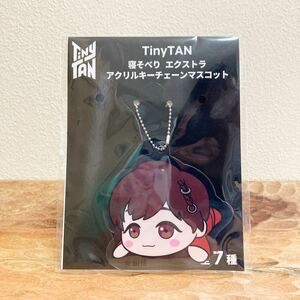 【新品未開封】J-HOPE TinyTAN 寝そべりエクストラアクリルキーチェーンマスコット BTS 防弾少年団 タイニータン ホソク キーホルダー