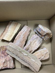 アクアリウム用　ガーデニング　木化石　約２.5キロ　未使用品　