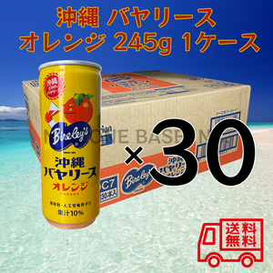 沖縄バヤリース オレンジ 245g 1ケース 30本 果汁10% 沖縄限定