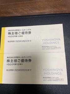 吉野家ホールディングス株主優待券21300円分 特定記録送料込み