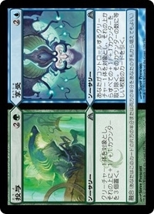 MTG ■金/日本語版■ 《摩耗+損耗/Wear+Tear》ドラゴンの迷路 DGM