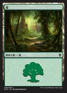 MTG ■土地/日本語版■《森/Forest》 タルキール覇王譚 KTK