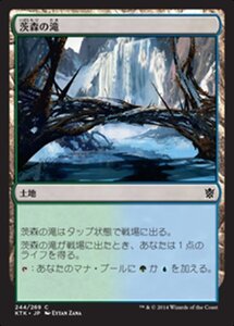 MTG ■土地/日本語版■《茨森の滝/Thornwood Falls》 タルキール覇王譚 KTK