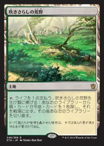 MTG ■土地/日本語版■《吹きさらしの荒野/Windswept Heath》 タルキール覇王譚 KTK