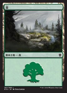 MTG ■土地/日本語版■《森/Forest》★FOIL★ タルキール覇王譚 KTK