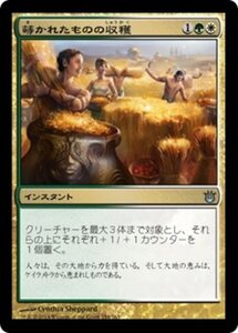 MTG ■金/日本語版■《蒔かれたものの収穫/Reap What Is Sown》★FOIL★ 神々の軍勢 BNG