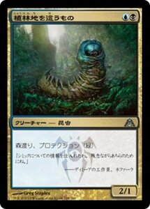 MTG ■金/日本語版■ 《植林地を這うもの/Woodlot Crawler》★FOIL★ ドラゴンの迷路 DGM