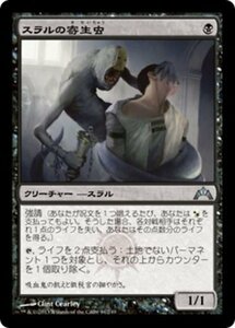 MTG ■黒/日本語版■ 《スラルの寄生虫/Thrull Parasite》ギルド門侵犯 GTC