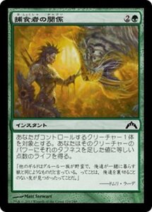 MTG ■緑/日本語版■ 《捕食者の関係/Predator's Rapport》★FOIL★ ギルド門侵犯 GTC