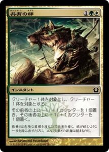 MTG ■金/日本語版■ 《共有の絆/Common Bond》ラヴニカへの回帰 RTR