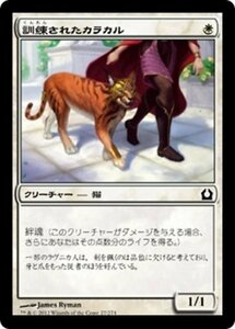 MTG ■白/日本語版■ 《訓練されたカラカル/Trained Caracal》ラヴニカへの回帰 RTR