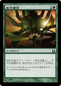 MTG ■緑/日本語版■ 《空中捕食/Aerial Predation》★FOIL★ ラヴニカへの回帰 RTR