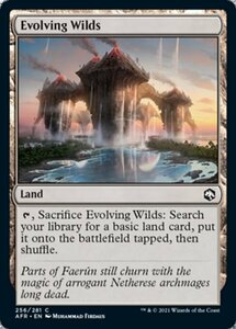 MTG ■土地/英語版■ 《進化する未開地/Evolving Wilds》フォーゴトン・レルム探訪　AFR