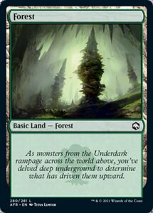 MTG ■土地/英語版■ 《森/Forest》フォーゴトン・レルム探訪　AFR