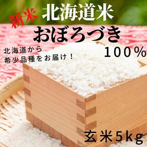 もっちり　ふっくら　食べてみて　北海道米　おぼろづき　玄米 5kg 新米　お米