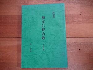 摩文仁野の歌 一人百首 林清未